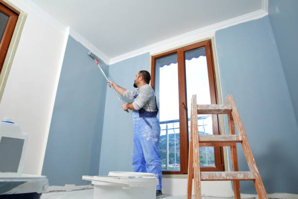 Best Water Damage & Mold Remediation  in Wellsburg, WV