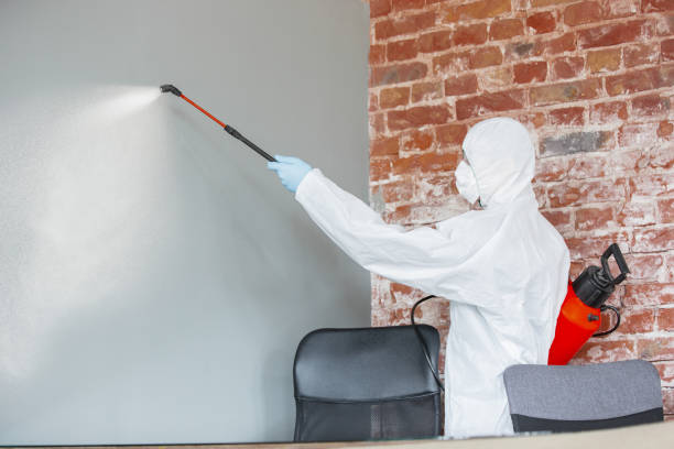 Best Mold Odor Removal Services  in Wellsburg, WV