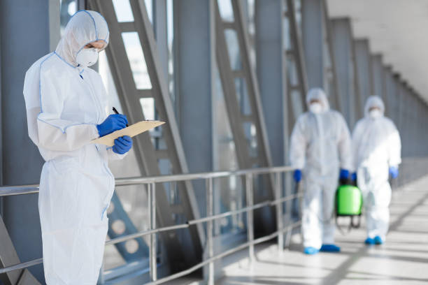 Best Mold Removal for HVAC Installations  in Wellsburg, WV