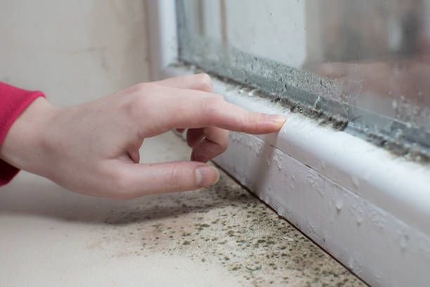 Best Post-Remediation Verification Testing  in Wellsburg, WV